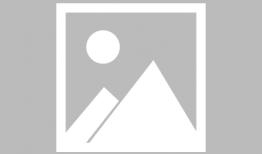 91绿巨人直播,揭秘绿巨人背后的故事与魅力